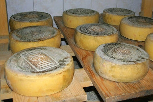 Paški sir