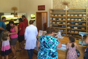 Prodejna sýrů Gligora v Kolanu